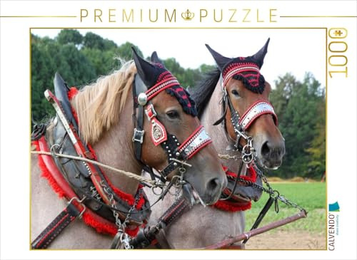 CALVENDO Puzzle Vlaams Paards | 1000 Teile Lege-Größe 64 x 48 cm Foto-Puzzle für glückliche Stunden