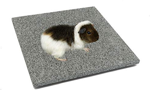 DiConcetto Kratzstein/Pflegestein sowie Kühlplatte/Klimastein aus Granit für Hamster, Meerschweinchen, Hasen und weitere Nager (15 x 10 x 1, Dunkel)