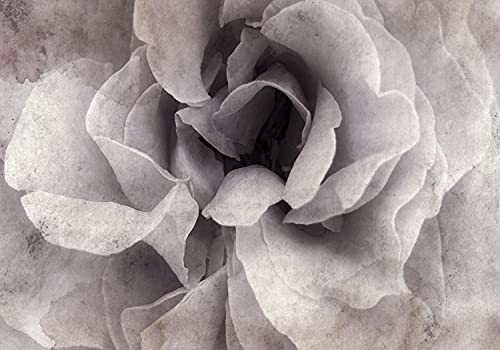 decomonkey Fototapete Blumen Abstrakt 350x256 cm Design Tapete Fototapeten Tapeten Wandtapete moderne Wand Schlafzimmer Wohnzimmer Rose