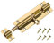 TERF® Türriegel aus poliertem Messing, 50 mm, Türriegel mit Schrauben, ideale Türschlösser für Innen- und Außentüren für Schlafzimmer, Badezimmer, WC, Schuppen, Tor, Schränke und Schränke – 50 mm