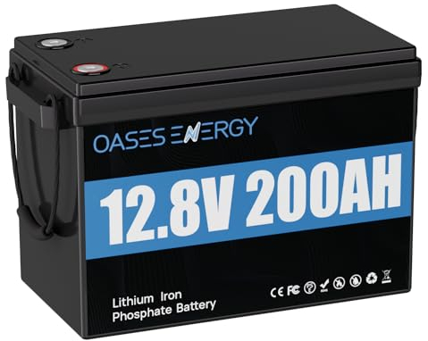 Oasesenergy Batterie Lithium LiFePO4 12V 200Ah Taille super Mini, BMS 100A Intégré,Basse température Coupure, 4000-15000 Cycles pour Camping-Car, Système Solaire, Bateaux, Hors-Réseau,Caravanes