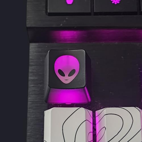 The Celly Plug Alien-Tastenkappen-Set mit Hintergrundbeleuchtung, benutzerdefinierte Kecaps für mechanische Cherry MX-Tastatur, SA-Profil, R4-Tastenkappen, durchscheinende Hintergrundbeleuchtung,