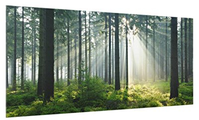 Bilderwelten Küchen-Spritzschutz 40 x 80 cm Enlightened Forest Wald Wiesen Natur Rückwand