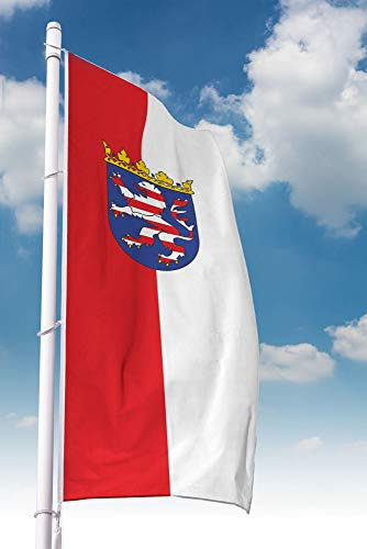Deitert Bundesland-Flagge Hessen – 120x300 cm Hessen Fahne mit Wappen im Hochformat, Hissfahne aus reißfestem Polyester
