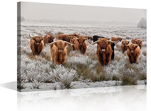 Wall Art Brown Highland Cow Herd Painting Animals Pictures Print On Canvas Cattle with Big Horns The Picture Decor Oil for Home Modern Decoration for Living Room 12x18inch (30x45cm)