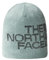THE NORTH FACE Reversible Highline Zeitungskappe Dark Sage Htr/TNF Black Einheitsgröße