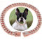 HIAOCEEY Rosegold Dog Chain Cuban Collar with Diamond Design, Secure Buckle, Pet Cuban Crystal Jewelry Collar Necklace Accessories for Dogs Cats (Rosegold, 8 inch)