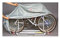 Fiamma Bike Cover S 2 to 3 bikes