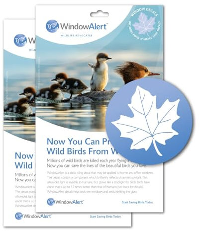 WindowAlert Maple Leaf Anti-Collision Decal - UV-Reflective Window Decal to Protect Wild Birds from Glass Collisions 2-Pack - Made in the USA