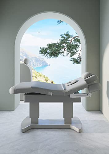 NEOBEAUTY BCN Table de massage professionnelle SPA avec base en bois suprême, 3 moteurs électriques, chauffage, appuie-tête, trou facial, réglable en hauteur, dossier et repose-pieds, etc