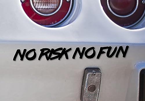 Auto Aufkleber | No Risk No Fun | Spruch Tuning Heckscheibenaufkleber Autofahrer Sport Daily Dekor Tattoo Autoaufkleber KFZ Tuningzubehör Außen (schwarz glanz)
