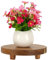 Spiretro 22.8 cm (9-Inch) Round Footed Acacia Wood Pedestal & Serving Stand | Kitchen Display | Plant Holder