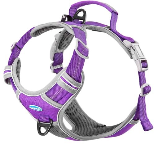 ThinkPet No-Pull Hundegeschirr, Atmungsaktiv Brustgeschirr für Kleine Mittlere Große Hunde, Einstellbar Weich Laufgeschirre Sicher Kontrolle Gepolstert Reflektierendes Sicherheitsgeschirr