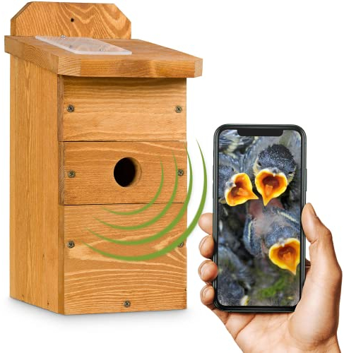 Kamera im Vogelhaus Nestblick Plus in Beige mit WLAN-Kamera. Nistkasten für Live-Beobachtung mit App, Full-HD, Nachtsicht, Ton und Infrarot LEDs. Ideal für Meisen, Kleiber & Zaunkönige.