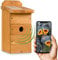 Kamera im Vogelhaus Nestblick Plus in Beige mit WLAN-Kamera. Nistkasten für Live-Beobachtung mit App, Full-HD, Nachtsicht, Ton und Infrarot LEDs. Ideal für Meisen, Kleiber & Zaunkönige.