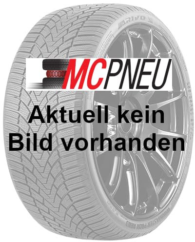 APTANY - 235/60 R18 TL 107H RW631 XL STUDDABLE BSW M+S 3PMSF - Winterreifen