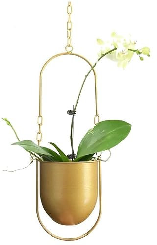 Nisone Hängende Dekoration Topf Metall Boho Hängekorb Decke Hängende Pflanzer für Zimmerpflanzen Sukkulenten Luftpflanzen Kaktus (Gold)