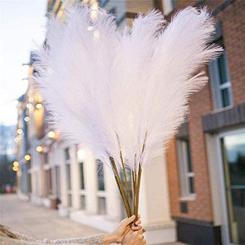 5 pièces Artificielle Pampa Herbe 51 in 130cm Bouquet Bricolage Vase Nouvel an Vacances fête de Mariage décoration de la Maison Plante Simulation Fleur Roseau (White)