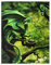 Spirit of Equinox Leinwandbild, Motiv: Wald-Drache, Age of Dragons - Wandbild - Kunstwerk für Wohnzimmer und Küche