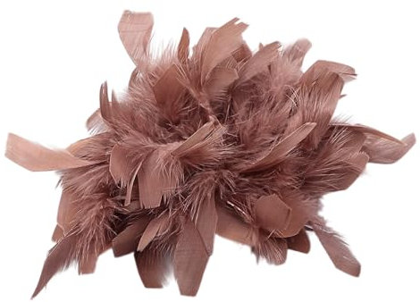 Feder Haarnadel Brosche Damen Federbrosche Truthahnfeder Brosche Federkorsage Vintage Federkopfschmuck Corsage Haarschmuck für DIY Hochzeits Party Geburtstag Schmuck Zubehör,Braun