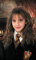 Harry Potter Kuchen-Dekoration und Kuchen-Design aus Speisescheiben (17)