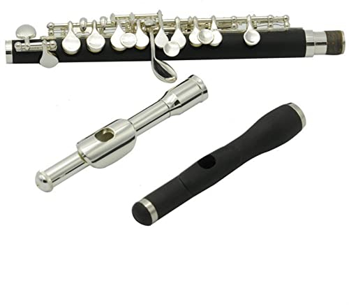 C Key Piccolo Für Anfänger Und Fachleute Mit Fall Querflöte