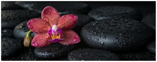 Wallario Küchenrückwand selbstklebend 115 x 50 cm, Motiv: Orchideen-Blüte auf schwarzen Steinen, benetzt mit Wasser-Tropfen | Spritzschutz abwischbar & pflegeleicht