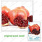 10 Samen / Pack, Köstliche Granatapfel, Punica granatum Samen, Balkon Topf Obst, Fruchtsamen