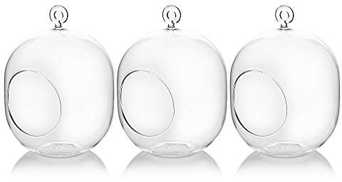 WGV - Terrario de cristal colgante a granel, ancho 12,7 cm, altura 15,2 cm, linterna de aire para suculentas, maceta transparente para velas votivas, bodas, eventos, oficina, hogar, decoración al aire