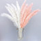 Pampas 30 Pink 40cm Natürliche Pampasgras Getrocknet Deko Gold Für Wohnzimmer, Schilfrohr, Trockenblumen, Inneneinrichtungen
