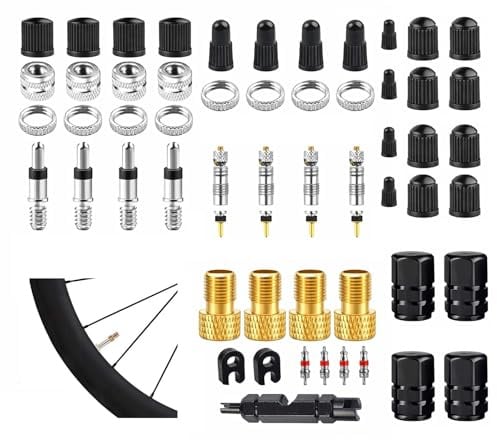 55 Stück Fahrradventil, Französisches Ventil mit Adaptern & Kappen | Presta auf Schrader Adapter, Ventilkappen, Französisches Ventil Adapter, Ventilschlüssel für MTB, Rennrad, E-Bike