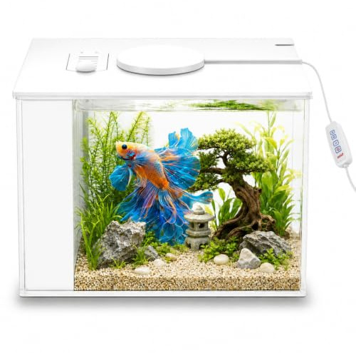 MeYuxg klart glas akvarium litet komplett set, 3,7 l akryl nano akvarium med filterpump, LED-belysning akvarium startset för små fiskar, räkor och växter (vit)