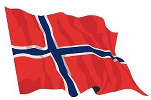 R&F srls Bandiera Norvegia Nazionale Tessuto Misura Standard 90 X 150 cm