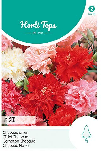Hortitops 14275 Chabeud Nelke Mischung (Nelkensamen)