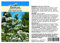 Seedeo Baldrian (Valeriana officinalis) 200 Samen