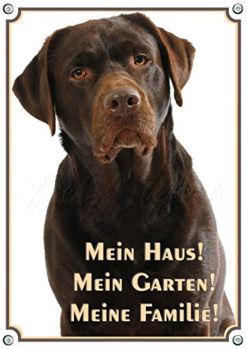 Petsigns Warnschild brauner Labrador - Mein Haus! Hundeschild aus Stabiler Metallplatte, DIN A5
