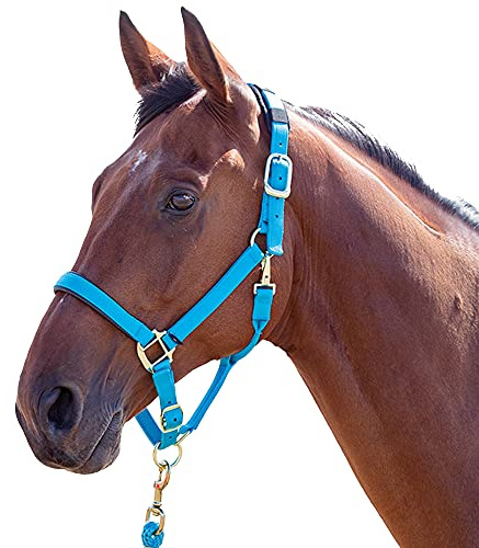 Shires Topaz Pferdehalfter Nylon (387), blau, Kaltblut / Warmblut extragroß