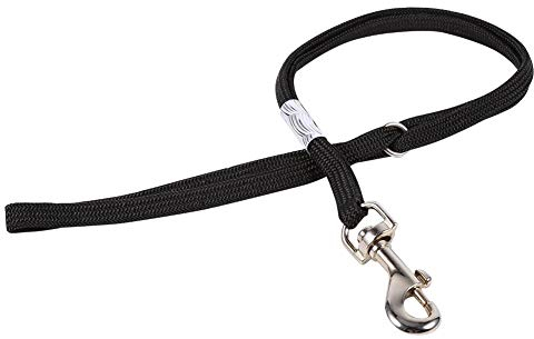 Cappio per Toelettatura Cani Imbracatura Regolabile 2 in 1 Professionale per Tavolo Bagno con Braccio Regolabile Fissaggio Sicuro Confortevole Accessorio Animali Domestici