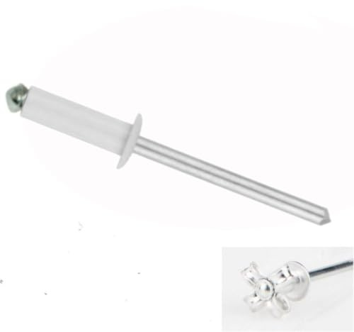 Rivets aveugles éclatés 4,8x16 mm RAL 9016 blanc signalisation par 100