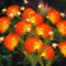 Solar Gartenleuchten für Außen, 2-Pack Orange Solar Blumen Mit Bienen, Gartendeko wasserdichte Solarlichter Im Freien für Garten Patio Yard Weg, Geschenke für Mama, Balkon Blumenkästen Terrasse Deko