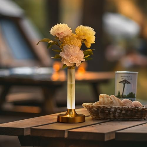 Schiele Lampada Ricaricabile da Tavolo Wireless Dimmerabile,Lampada da Tavolo Esterno,Protezione IP44,Lampada Tavolo Esterno,Lumi Lampada Multiuso,Decorazione Della Tavola