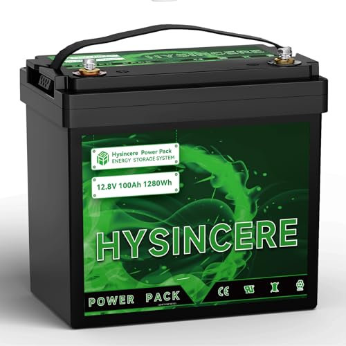 HYSINCERE LiFePO4 100Ah 12V Mini Batterie mit BMS und 4000-15000 Zyklen,1280Wh Lithiumbatterie für Wohnmobil,Camping,Solar Home Systeme, Boote