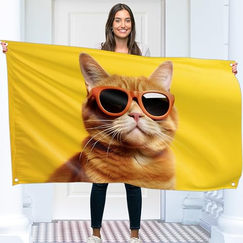 Katze mit Brille Flagge – Groß Lustige Flagge – Beidseitiger Druck – 110D Polyester – Doppelnaht – 2 Messingösen, groß 90x150 cm (5 x 3 Fuß)