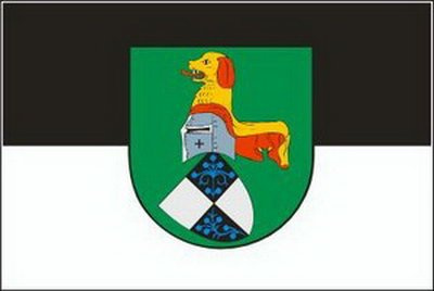 Flagge Fahne Neustadt an der Aich 90x150cm