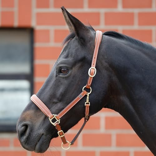 Heinick-Reitsport Qualitäts Lederhalfter ~ Nero Chestnut ~ Stallhalfter rundgenäht WB VB Größe Vollblut