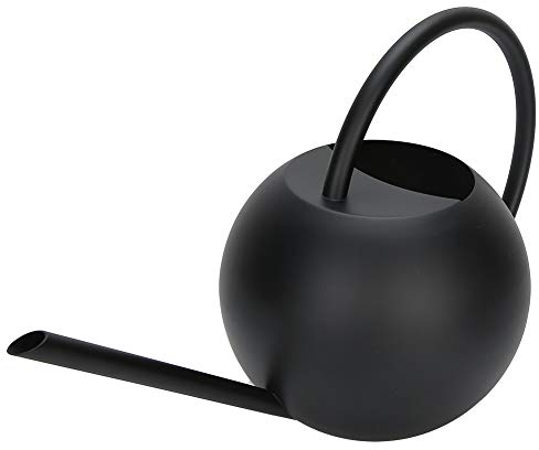 plplaaoo Gieskanne Klein Wohnung Vintage 1L,Gießkanne Zimmerpflanzen, Schwarz Edelstahl Langer Auslauf Kleine Giesskanne für Wohnung Home Büro Sukkulenten Innen und Außenbereich