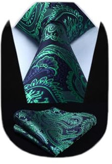 HISDERN Herren Krawatte Blumen Paisley Krawatte & Einstecktuch Set Schwarz Grun