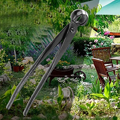 Bonsai Schere,Konkavzange Bonsai,Ter,Knob Cutter Bonsai,Bonsai Knob Cutter,Concave Bonsai,Pince Concave Bonsai Bairyu Professional Sharp Blade Round Edge Concave Knob Ast Cutter Garden Bonsai Tools 21