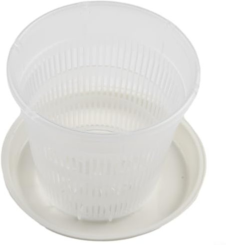 Maceta transparente controlada por raíces, maceta de orquídeas con estomas transpirable que transmite la luz, maceta de plástico (11 cm)