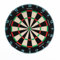 Precise180 - Dartboard Endorphine - Infinity Blue - Premium Dartboard mit One Piece Zahlenring - 18 Farben - Dartscheibe Nummernring - Dartzubehör